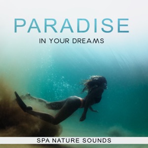 Paradise in Your Dreams: Spa Nature Sounds for Deep Relaxation, Natural Therapy & Magic Sleep