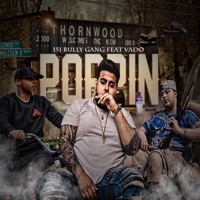 Poppin (feat. Vado) - Single - 151 the Bully Gang