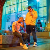 Inteligência Artificial - Single - Sagaz & Ecologyk