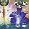 Callejeros - Prohibido (Vivo - Mezclado y Masterizado 2017)