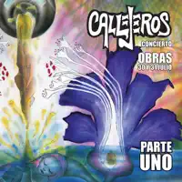 Prohibido (Vivo - Mezclado y Masterizado 2017) — Callejeros