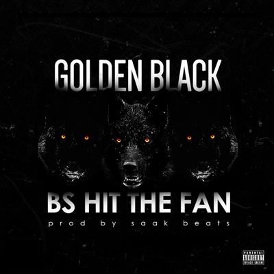 BS Hit the Fan - Single