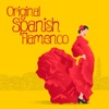 Original Spanish Flamenco