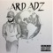 Went from Freestyle - Ard Adz lyrics