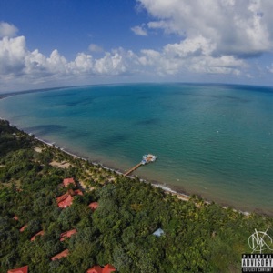 Flee the Country (feat. Fly Anakin & Big Kahuna OG) - Single
