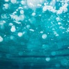 Dive - Single