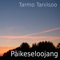 Ootus - Tarmo Tanilsoo lyrics