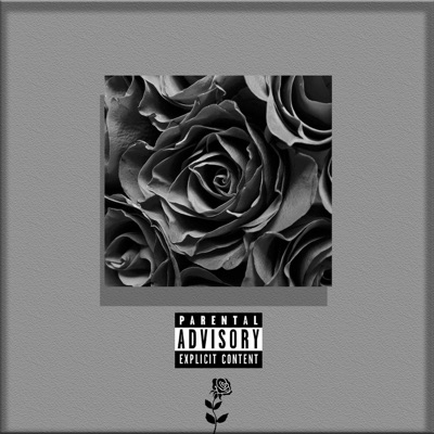 Black Rose - Single