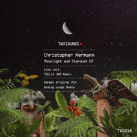 Moonlight and Stardust - Christopher Hermann