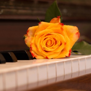 Piano Music for Studying, Concentration