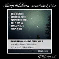 Shinji Ebihara Sound Track Vol.2