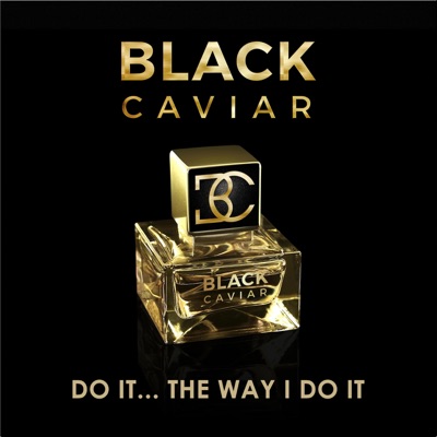 Do It... The Way I Do It - Single