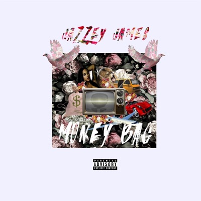 Money Bag - Single