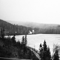 Going Home, Trying to Catch Feathers Together - Single - Whithe