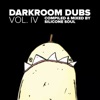 Darkroom Dubs Vol. IV - Compiled & Mixed By Silicone Soul, 2017