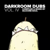 Darkroom Dubs Vol. IV - Compiled & Mixed By Silicone Soul, 2017