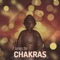 Joy & Harmony - Chakra Awakening lyrics