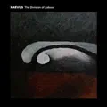 Man in a Ditch