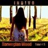 Indivo - Norwegian Wood