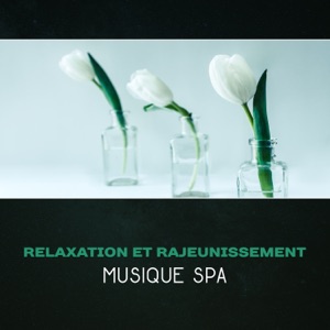 Relaxation et rajeunissement - Musique spa, sons apaisants de la nature, tranquillité pour votre esprit et votre corps