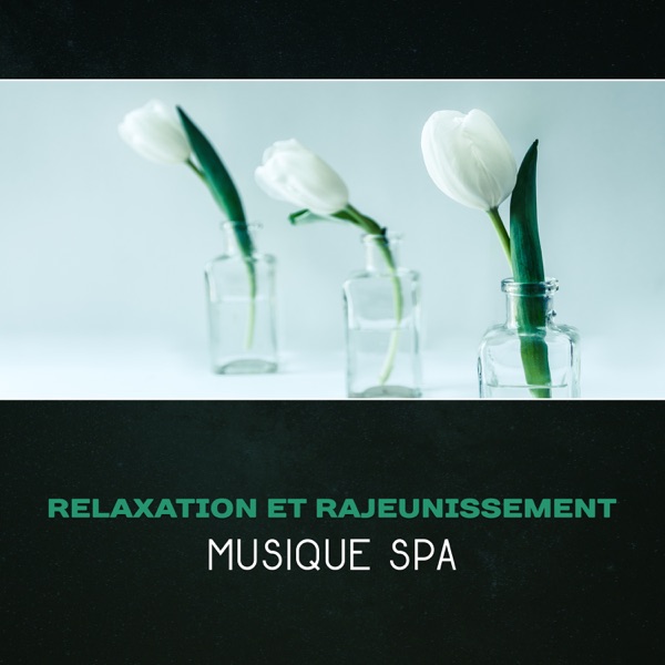 Relaxation et rajeunissement - Musique spa, sons apaisants de la nature, tranquillité pour votre esprit et votre corps