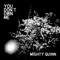 You Don't Own Me - Mighty Quinn lyrics