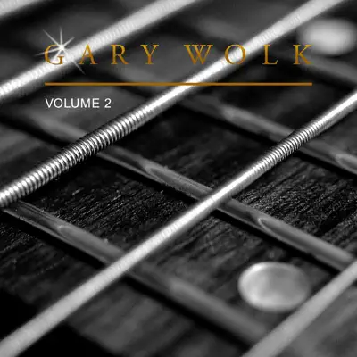Ακούστε το άλμπουμ Gary Wolk, Vol. 2 από Gary Wolk