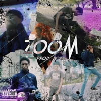 Zoom - Single - Hdmii