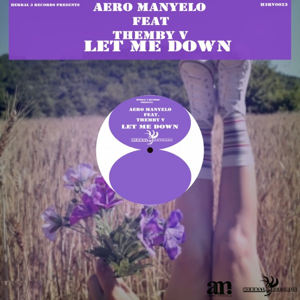 Let Me Down (feat. Themby V Khumalo) - Single