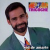 Sed de Amarte - Single