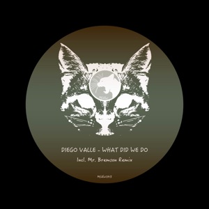 What Did We Do - Single