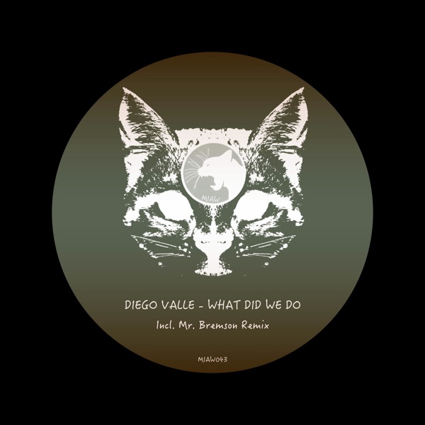 What Did We Do - Single