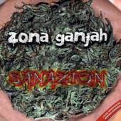 Sanazion artwork
