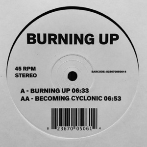 Burning Up - Single