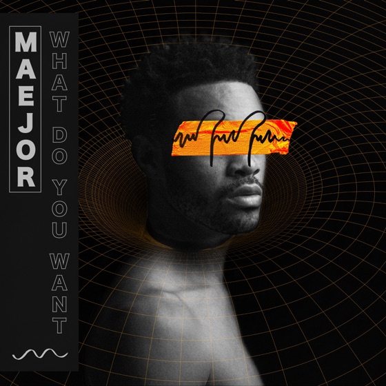 Cover artwork for What Do You Want