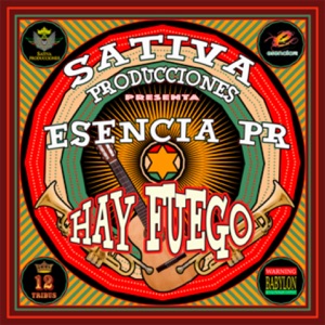 Hay Fuego - Single