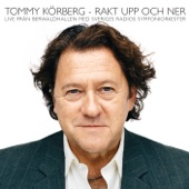 Rakt upp och ner (Live in Stockholm / 2007) artwork