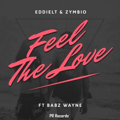 Feel the Love (feat. Babz Wayne) - Single