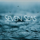 Seven Seas: The Best Nature Sounds for Liquid Relaxation, Meditation, Yoga, Soothe Your Stress, Self Hypnosis, Seaside Meditation artwork