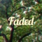 Faded - Not the King lyrics