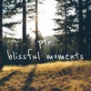 Blissful Moments