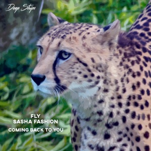 Coming Back to You - Single