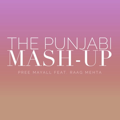 The Punjabi Mash-Up - Single