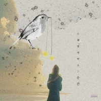 순간 - Sweden Laundry