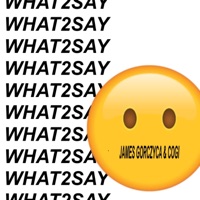 WHAT2SAY (feat. Cogi) - Single - James Gorczyca
