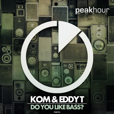 Do You Like Bass? - Single