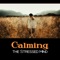 Anti Anxiety Cleanse - Positive Energy Academy lyrics