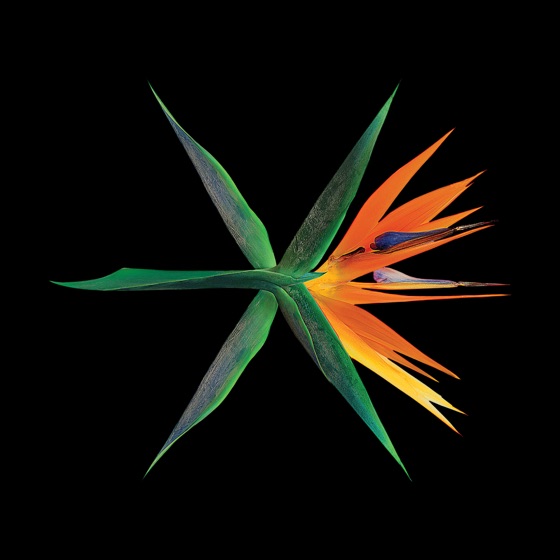 Cover artwork for Diamond