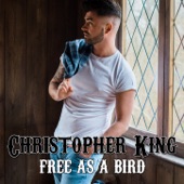 Free As a Bird artwork