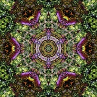 Hashmal - Single - Menumas